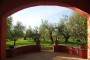 bolsena6.jpg